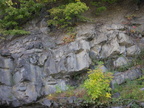 IMG 4642